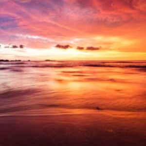 Meet your Posher, Tessah